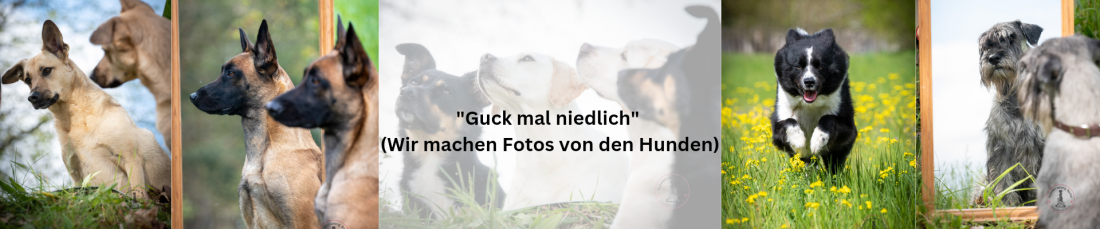 Fototermin