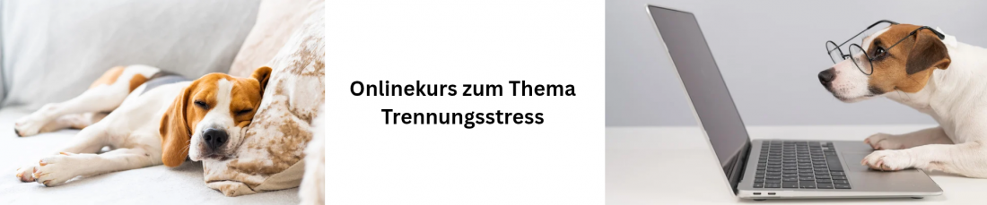 Trennungsstress Onlinekurs